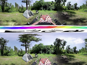 Covert Picnic