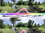 Covert Picnic